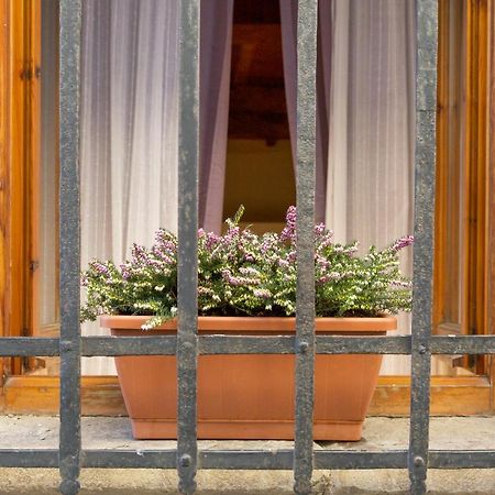 San Frediano District - Apartment 佛罗伦萨 外观 照片