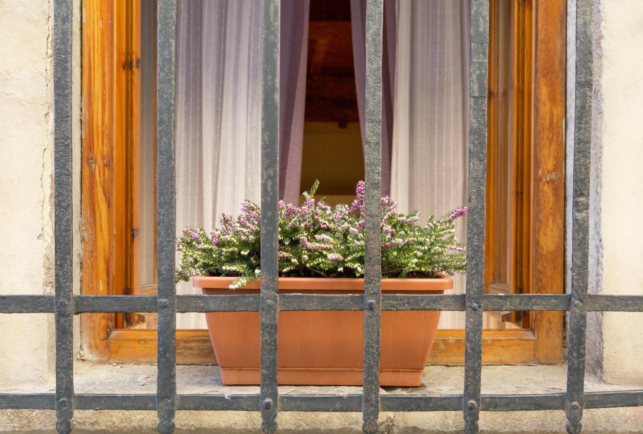 San Frediano District - Apartment 佛罗伦萨 外观 照片